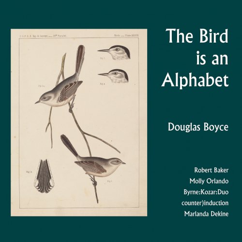 VA - Douglas Boyce: The Bird is an Alphabet (2023) [Hi-Res]