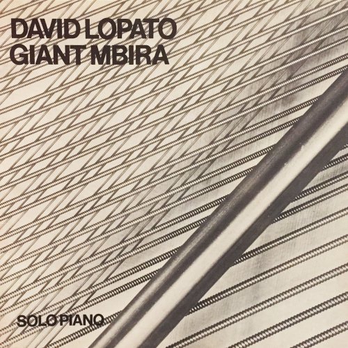David Lopato - Giant Mbira (2023)