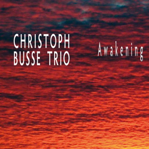 Christoph Busse Trio - Awakening (2009)