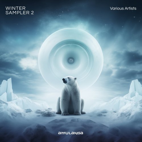 VA - Winter Sampler 2 (2023)