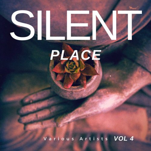VA - Silent Place, Vol 4 (2024)