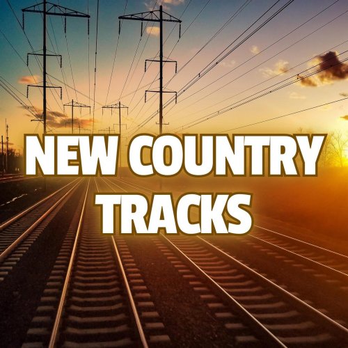 VA - New Country Tracks (2024)