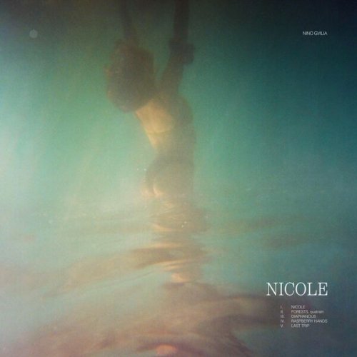 Nino Gvilia - Nicole (2024) [Hi-Res]