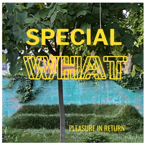 Special What - Pleasure in Return (2024) [Hi-Res]