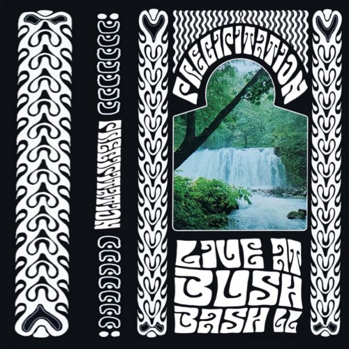 Precipitation - Live At BushBash II (2024)