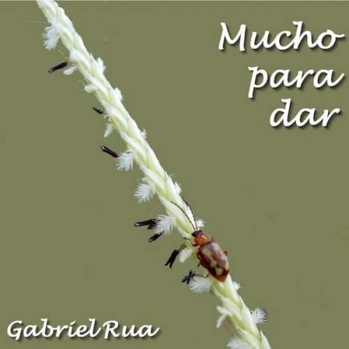 Gabriel Rua - Mucho para Dar (2024)