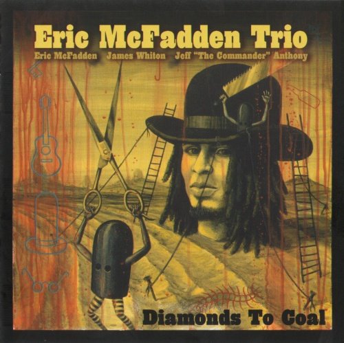 Eric McFadden Trio - Diamonds to Coal (2003)
