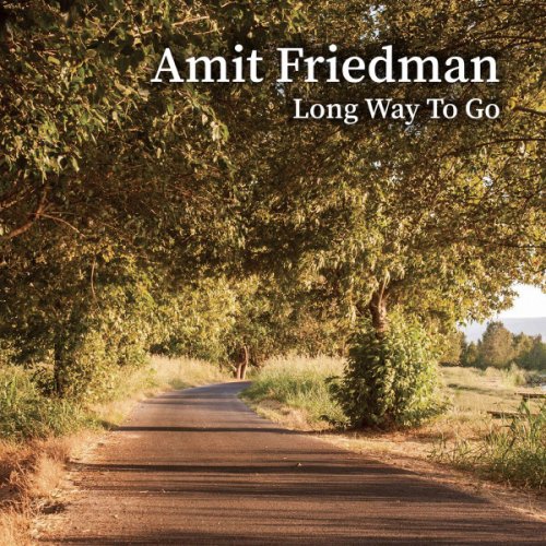 Amit Friedman - Long Way to Go (2017)