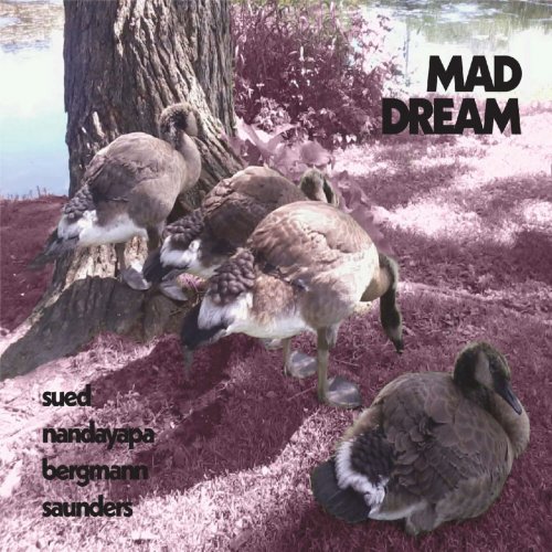 Sued Nandayapa Bergmann Saunders - Mad Dream (2024) [Hi-Res]