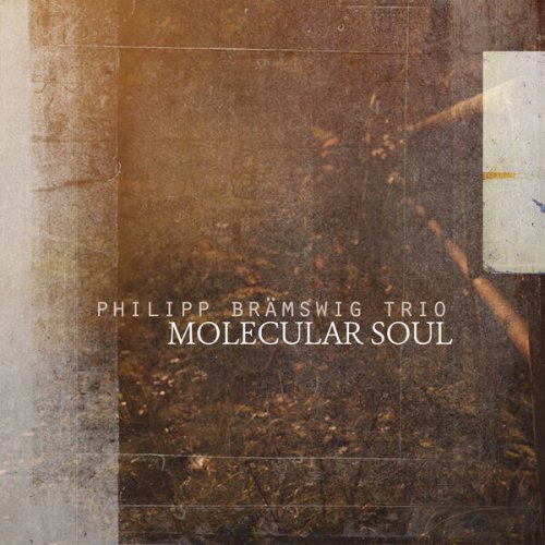 Philipp Brämswig Trio - Molecular Soul (2016)