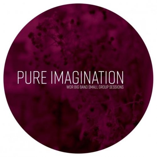 WDR Big Band, John Goldsby, Hans Dekker - WDR Big Band – Small Group Sessions – Pure Imagination (feat. Hans Dekker) (2024) [Hi-Res]