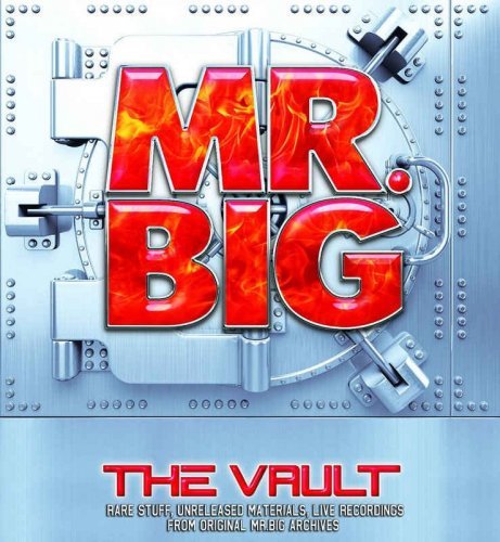 Mr. Big - The Vault: 25 Shunen Kinen Official Archive Box [20CD] (2015)