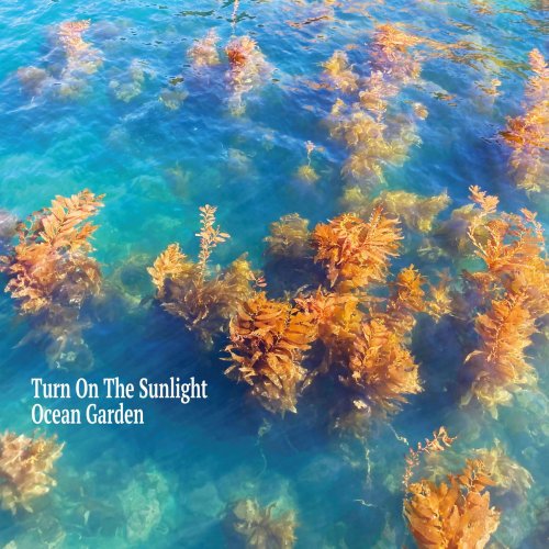 Turn On The Sunlight - Ocean Garden (2024)