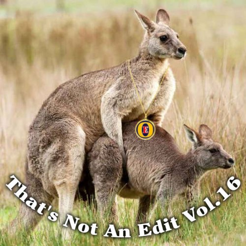 VA - That's Not An Edit Vol.16 (2022)