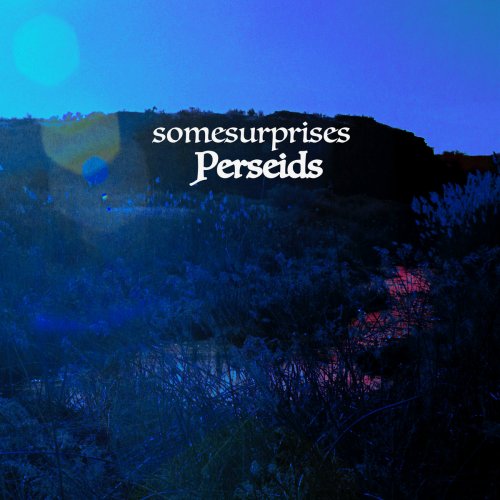 somesurprises Perseids (2024)