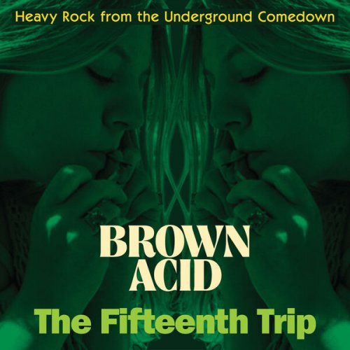 VA - Brown Acid: The Fifteenth Trip (Heavy Rock From The Underground Comedown) (2022)