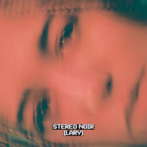 Lary - STEREO NOIR (2024) Hi-Res