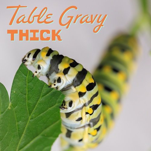 Table Gravy - Thick (2024) Hi-Res