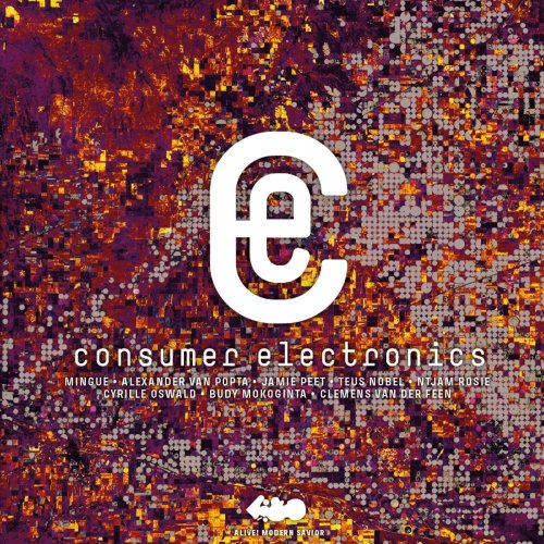 Müllerpier Recordings - Consumer Electronics (2024) [Hi-Res]