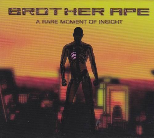 Brother Ape - A Rare Moment Of Insight (2010)