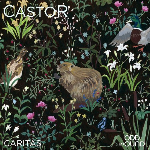 Castor - Caritas (2024) Hi-Res
