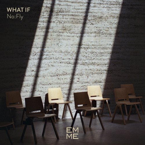 No:Fly - What If (2024) [Hi-Res]