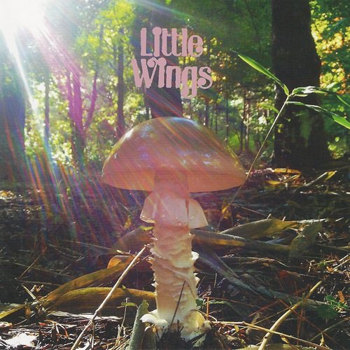 Little Wings - Last (2015)