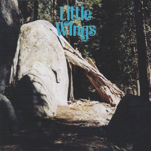 Little Wings - Discover Worlds of Wonder (2015)