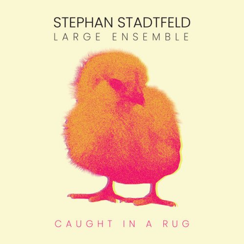 Stephan Stadtfeld Large Ensemble - Caught in a Rug (2024)