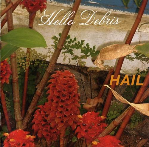 Hail - Hello Debris (2006)