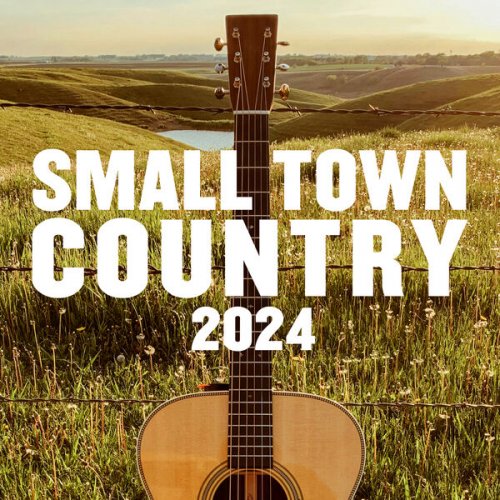 VA - Small Town Country 2024