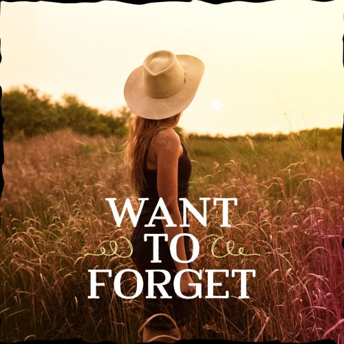 VA - Want To Forget (2024)