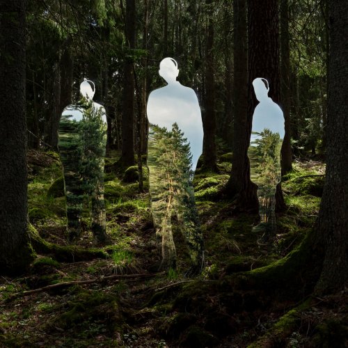 Johannes Brecht Trio - Disparaître (2024) [Hi-Res]