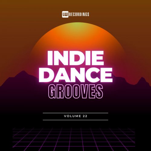 VA - Indie Dance Grooves, Vol. 22 (2024)