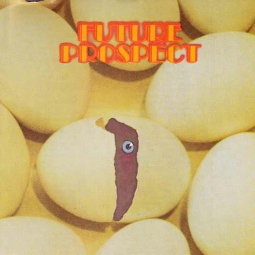 Dan Siegel - Future Prospect (1987)