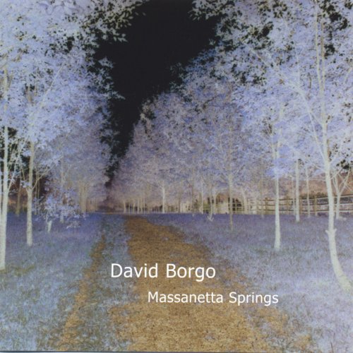 David Borgo - Massanetta Springs (2003)