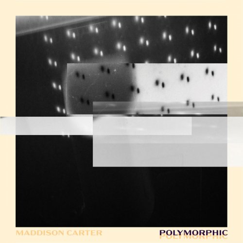 Maddison Carter - Polymorphic (2024) [Hi-Res]