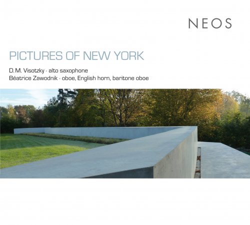 D.M. Visotzky, Béatrice Zawodnik - Pictures of New York (2011)