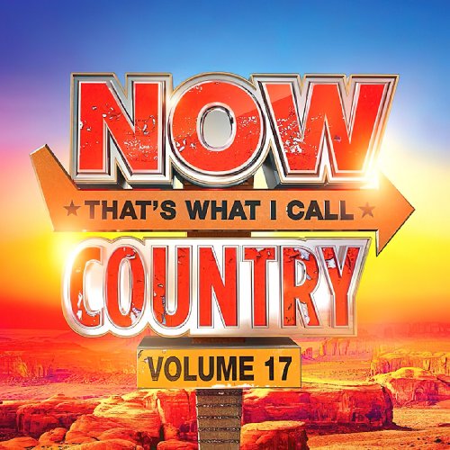 VA - NOW That's What I Call Country! Vol. 17 (2024)