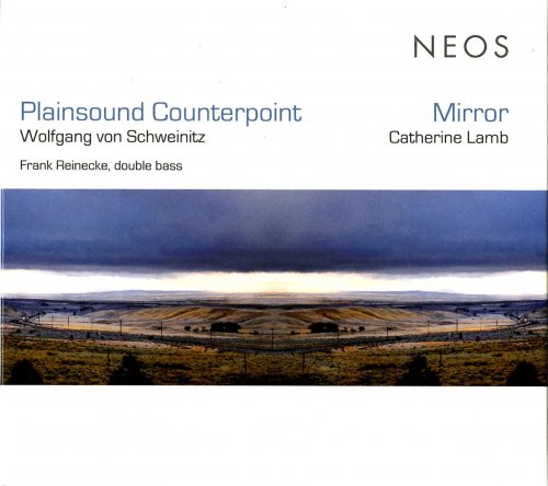 Frank Reinecke - Plainsound Counterpoint / Mirror (2015)