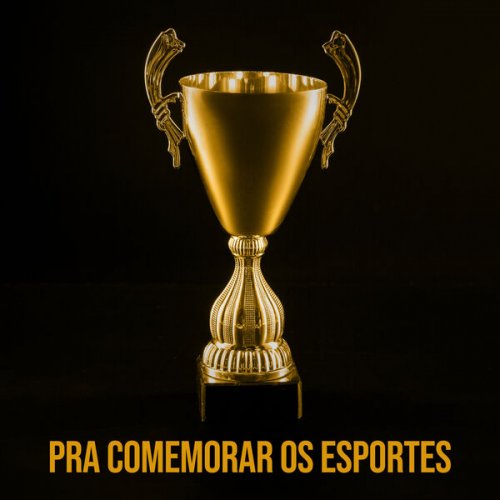 VA - Pra comemorar os esportes (2024)