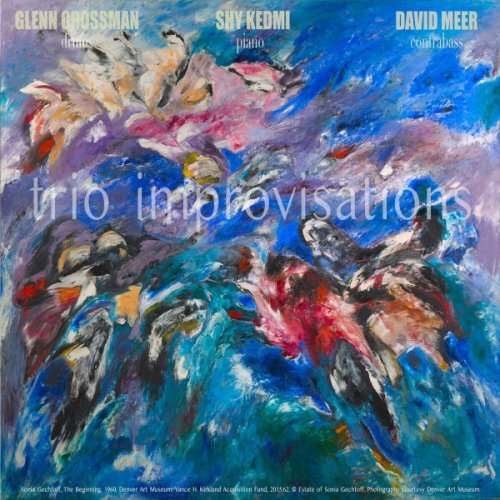 Shy Kedmi - Trio Improvisations (2021)