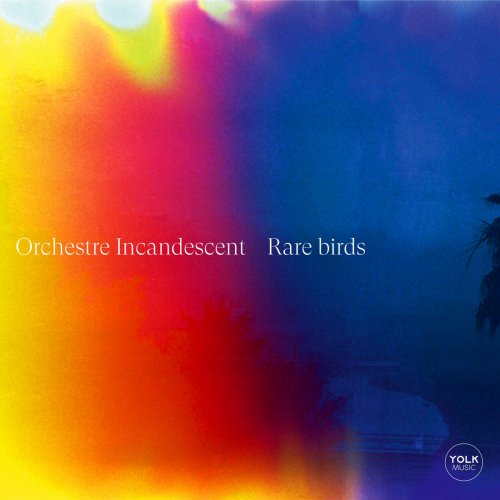 Sylvaine Hélary, l'Orchestre Incandescent - Rare Birds (2024) [Hi-Res]