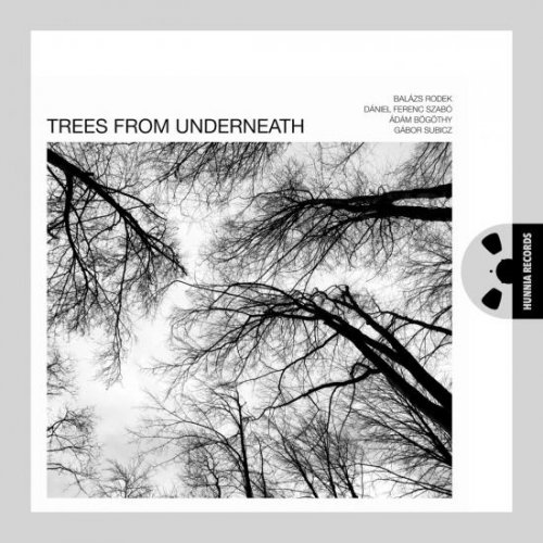 Balázs Rodek - Trees From Underneath (2024) [Hi-Res]