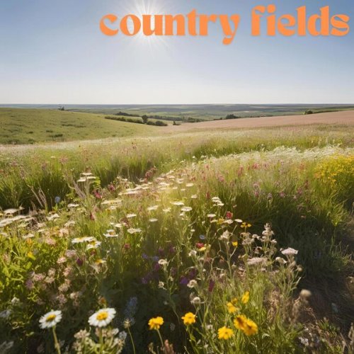 VA - Country Fields (2024)