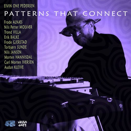 Eivin One Pedersen, Håvard Wiik & Frode Alnæs - Patterns That Connect (2024) [Hi-Res]