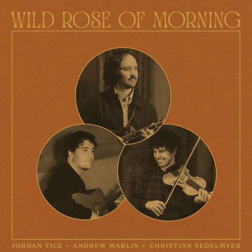 Jordan Tice - Wild Rose of Morning (2024) Hi-Res