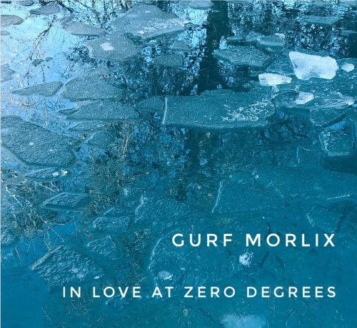 Gurf Morlix - In Love at Zero Degrees (2024)