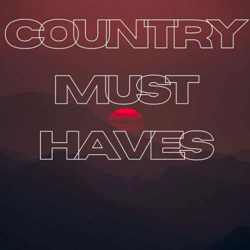 VA - Country Must Haves (2024)