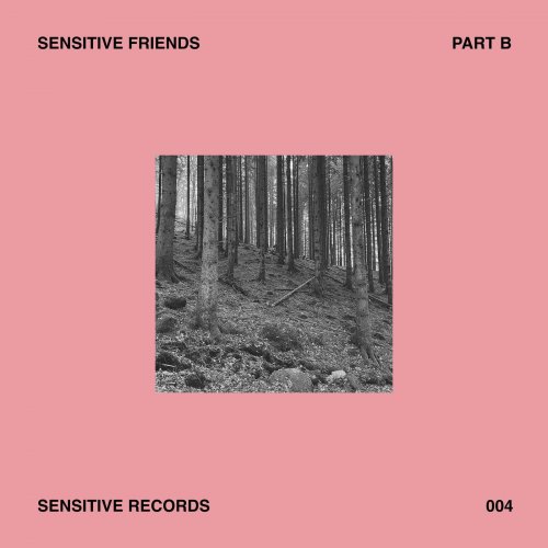 VA - Sensitive Friends - Part B (2024)